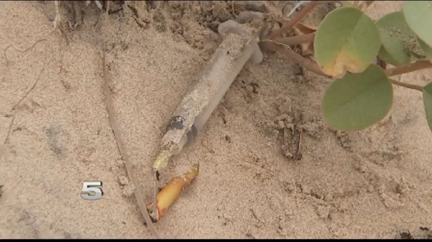  Hallazgos Peligrosos en las Playas del Condado Cameron Generan Inquietudes