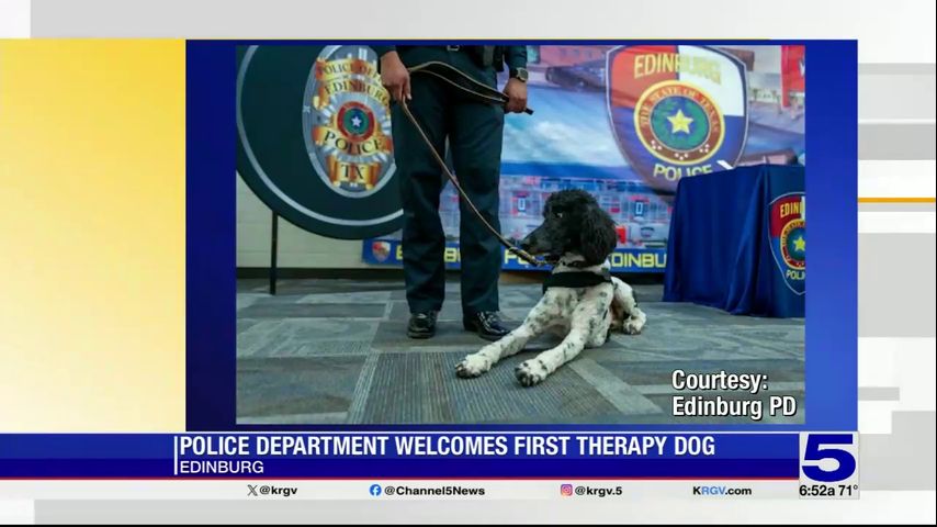 Edinburg Police Department welcomes first therapy dog