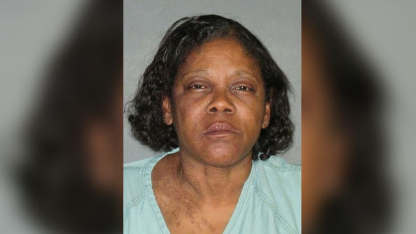 Woman stabbed boyfriend with butcher knife during argument