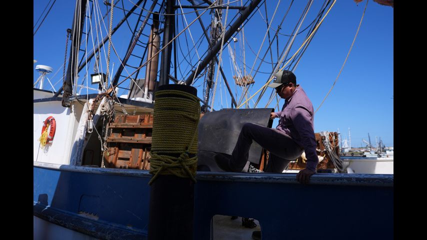 Meet the Gulf shrimpers rooting on Trump's tariffs in a Texas fishing town