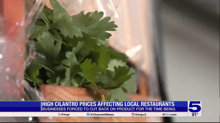 Valley businesses affected by high cilantro prices
