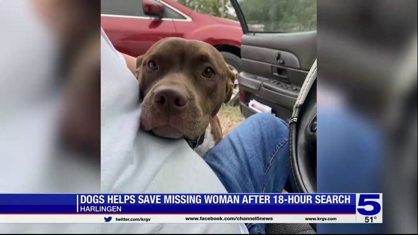 Dogs help save missing Harlingen woman after 18-hour search