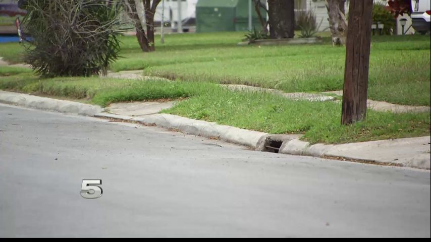 Brownsville Resident Facing Ongoing Issues with Standing Water Near Home