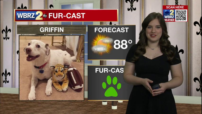 Griffin Fur-cast