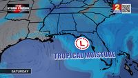 What 175 model simulations say about any tropical development in the Gulf