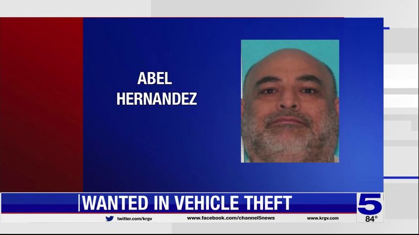 McAllen police seeking auto theft suspect