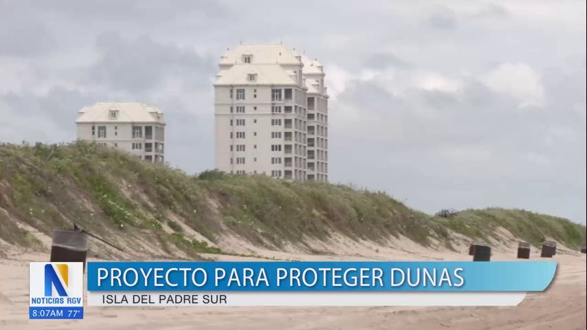 Isla del Padre Sur inicia proyecto para proteger las dunas en la playa