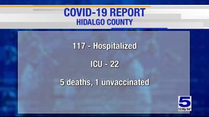 Hidalgo County reports 5 coronavirus-related deaths, 555... Hidalgo County reports 5 coronavirus-related deaths, 555 cases of ...