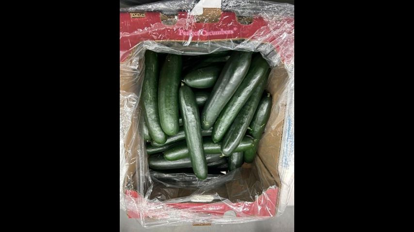 Recalled cucumbers linked to multistate salmonella outbreak, health agencies warn