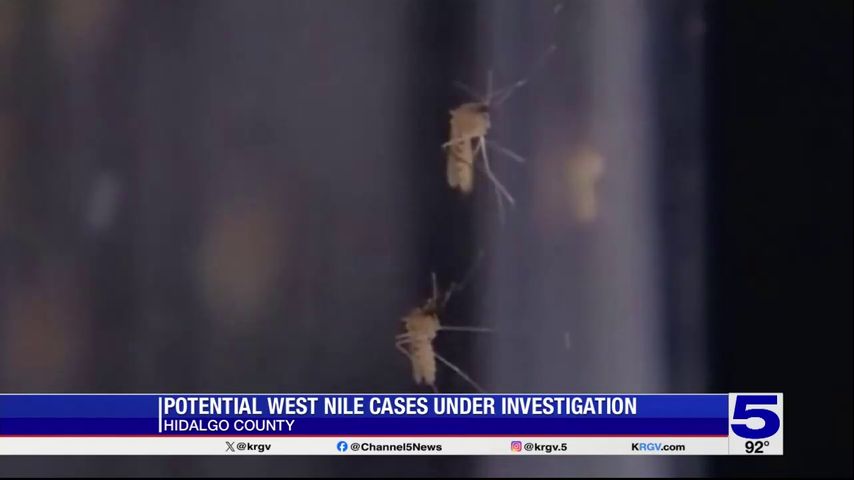 ‘What we're thinking is that West Nile is here:’ Hidalgo County investigates 4 potential cases of West Nile virus