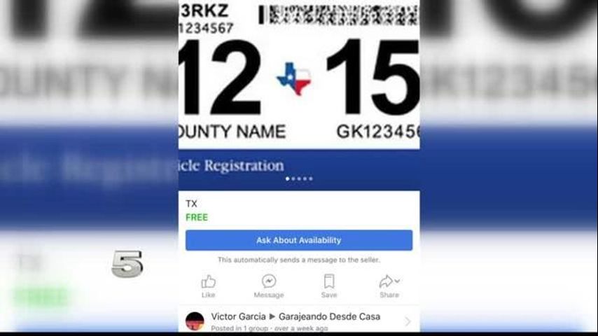 Illegal Sales of Vehicle Registrations on Social Media