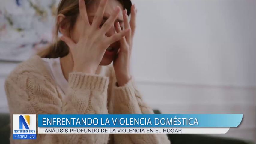 Enfrentando la violencia doméstica, análisis profundo de la violencia en el hogar