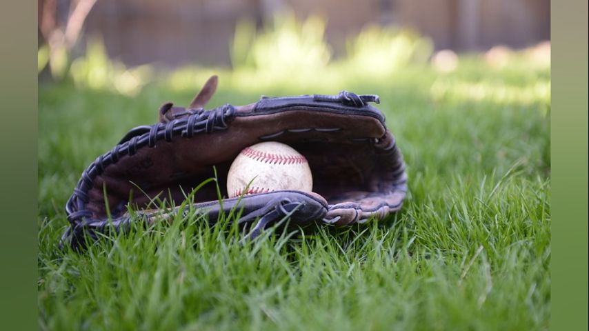 Ascension Parish baseball team on the doorstep of Little League World Series