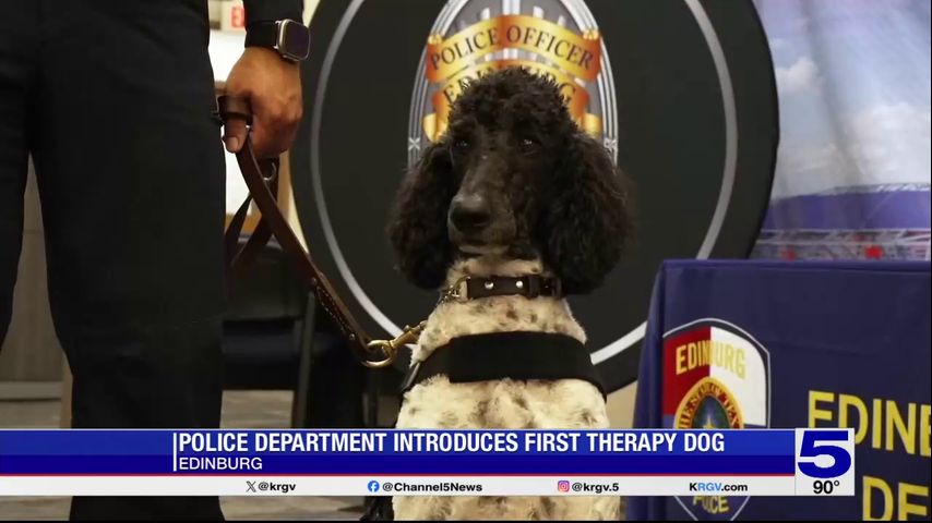 Edinburg police officers introduce department's first therapy dog, Domino