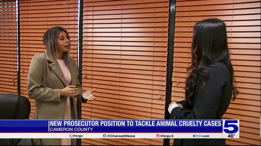 Cameron County prosecutor tackling animal cruelty cases