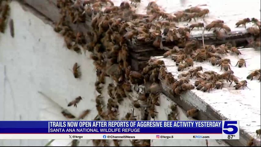 Santa Ana Wildlife Refuge reopens after aggressive bee activity