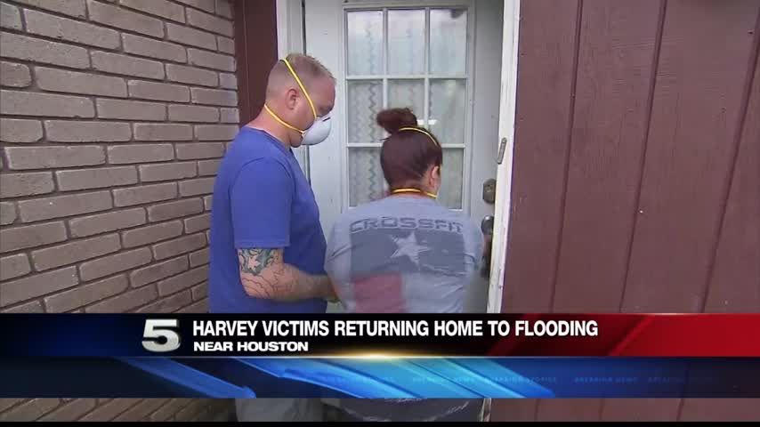 Harvey fox victima