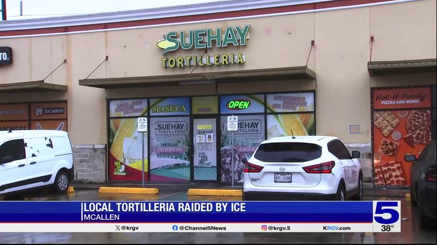 8 employees taken into ICE custody during 'worksite enforcement action ...