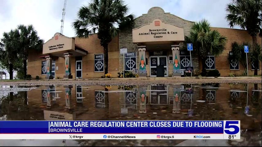 Brownsville animal shelter closed due to minor flooding