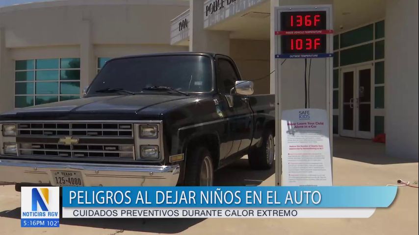 Cuidados preventivos al dejar niños en el auto durante calor extremo