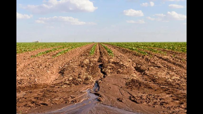 Texas is facing its worst drought since 2011. Here’s what you need to know