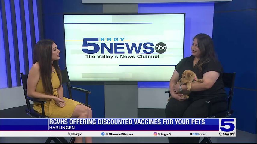 RGV Humane Society hosting low costs vaccine, spay/neuter clinics all month-long