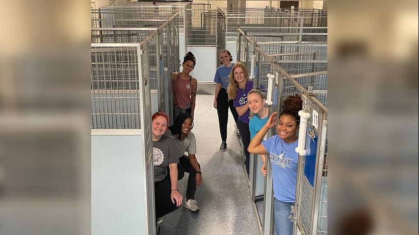Companion Animal Alliance celebrates adoption success; entire room of  kennels emptied