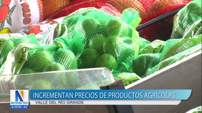 Incrementan los precios de los productos agrícolas en el Valle de Río Grande