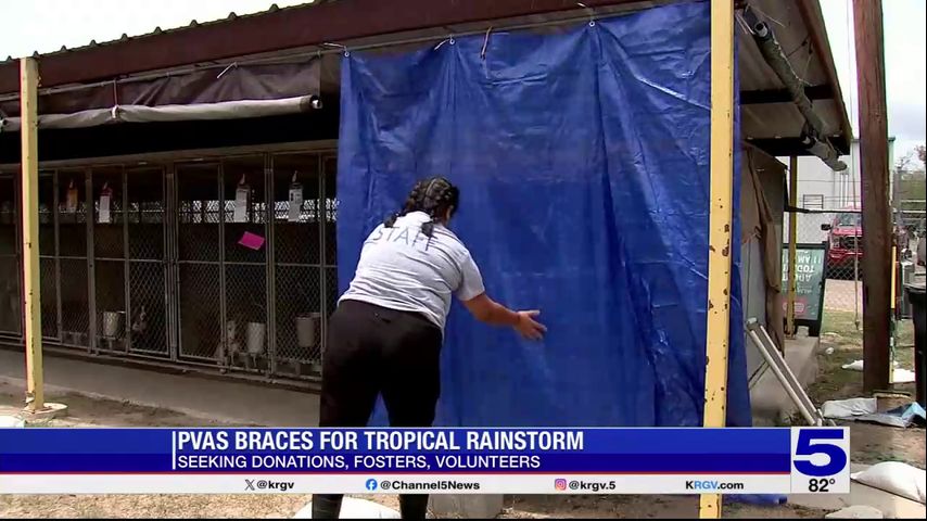 Palm Valley Animal Society braces for tropical rainstorm