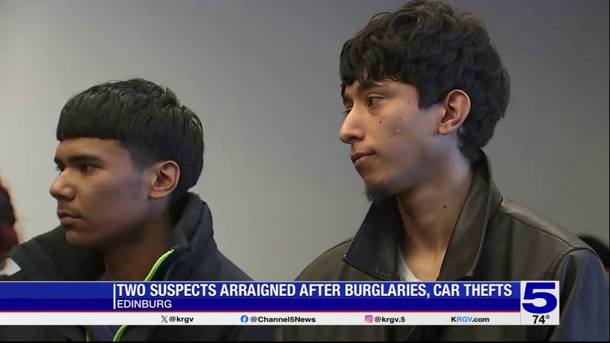 Suspects charged in Edinburg auto theft investigation