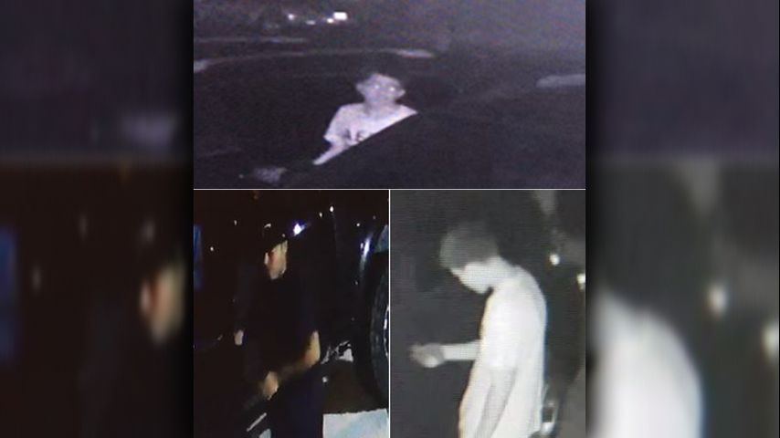 Harlingen Police Look to Identify Car Burglars Caught on Camera
