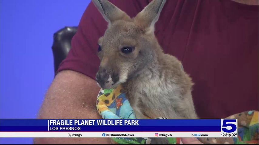 Fragile Planet Wildlife Park open to the public