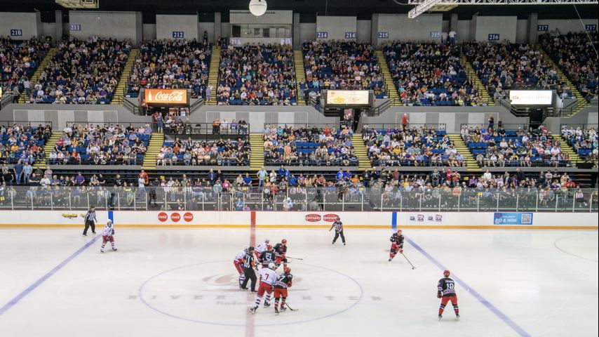 New Professional Louisiana Hockey Team Name Draws Mixed Reactions