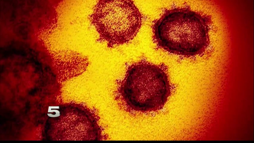 Se reportan 318 casos de coronavirus en todo el Valle, 4 muertes más