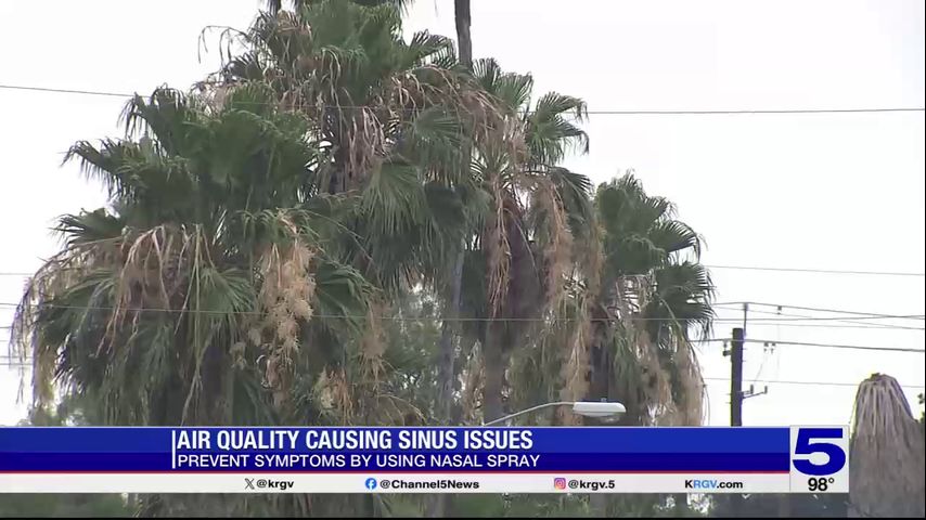 Sinus expert recommends use of nasal sprays amid air quality concerns