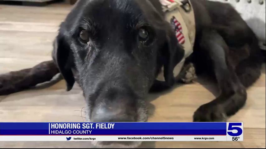 Valley military dog behind bill to allow military dogs to be buried in veteran cemeteries dies