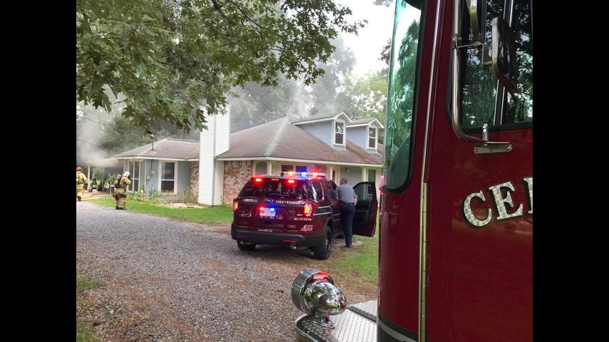 Dog killed in Central house fire; family displaced