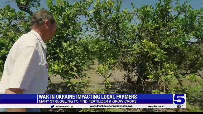 Rising fertilizer prices impacting Valley farmers