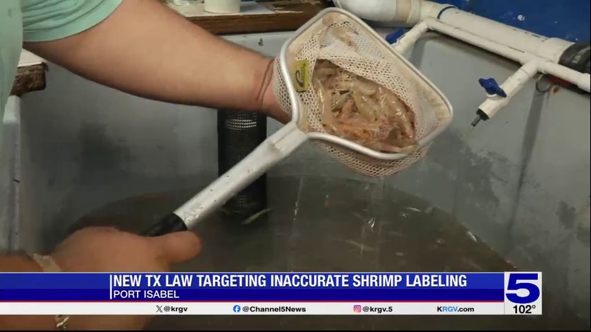 Port Isabel shrimpers, restaurants react to new law targeting ...