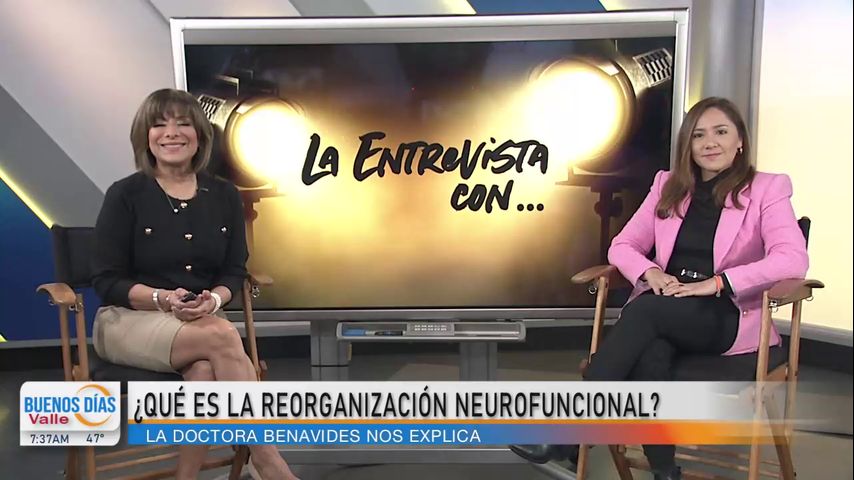 La Entrevista: Doctora recapitula fases del neurodesarrollo para ...