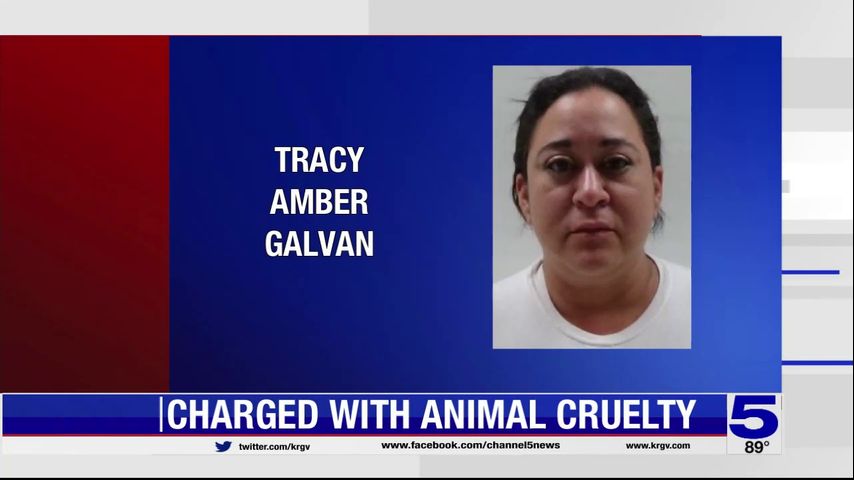 Cameron County woman charged with animal cruelty