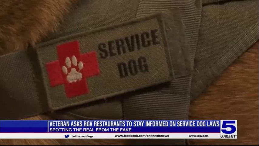 Veteran asks RGV restaurants to stay informed on service dog laws