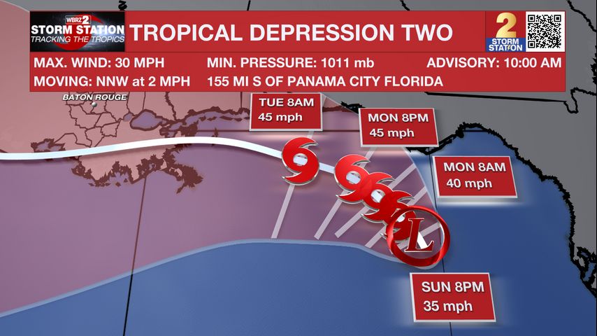Tropical Cyclone #2 Forms in the Gulf