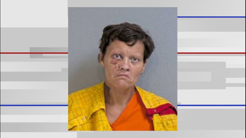 DPS: Driver in deadly multi-vehicle crash in Edinburg arrested, charged - Vimarsana News