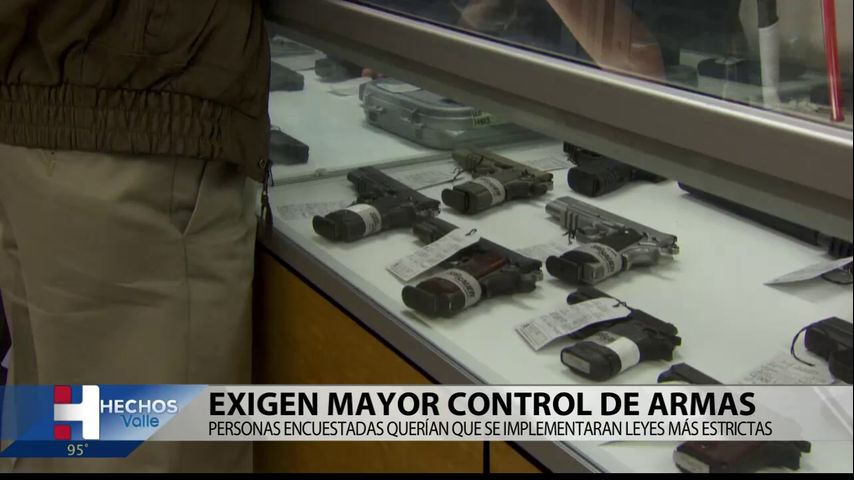 Analistas: Reforma de armas permanecen sin cambios