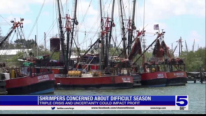 Local shrimpers facing challenging season