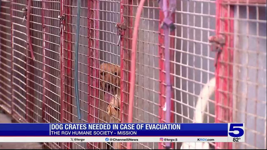 Mission animal shelter calling for dog crate donations amid weather conditions