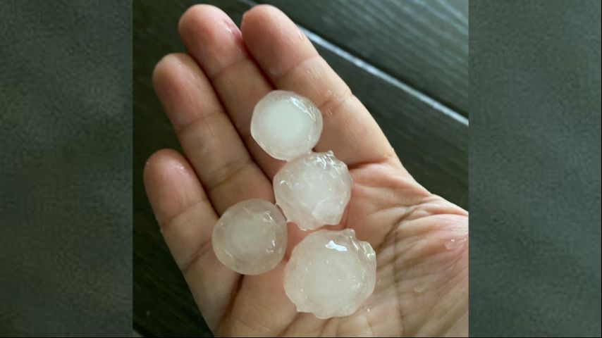 Trees down, roads blocked in Livingston Parish after severe weather rolls through - Vimarsana News