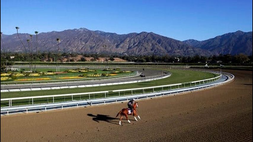Santa Anita checking if rules followed before horse's death