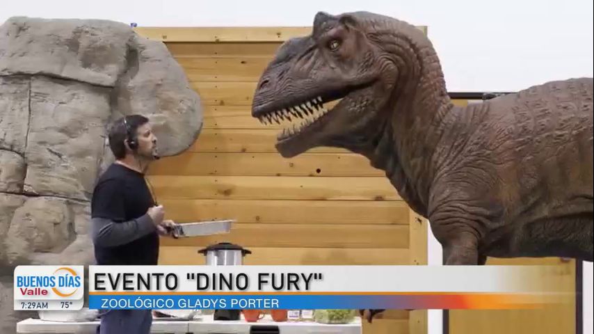 Comunidad: Zoológico Gladys Porter organiza exposición de dinosaurios